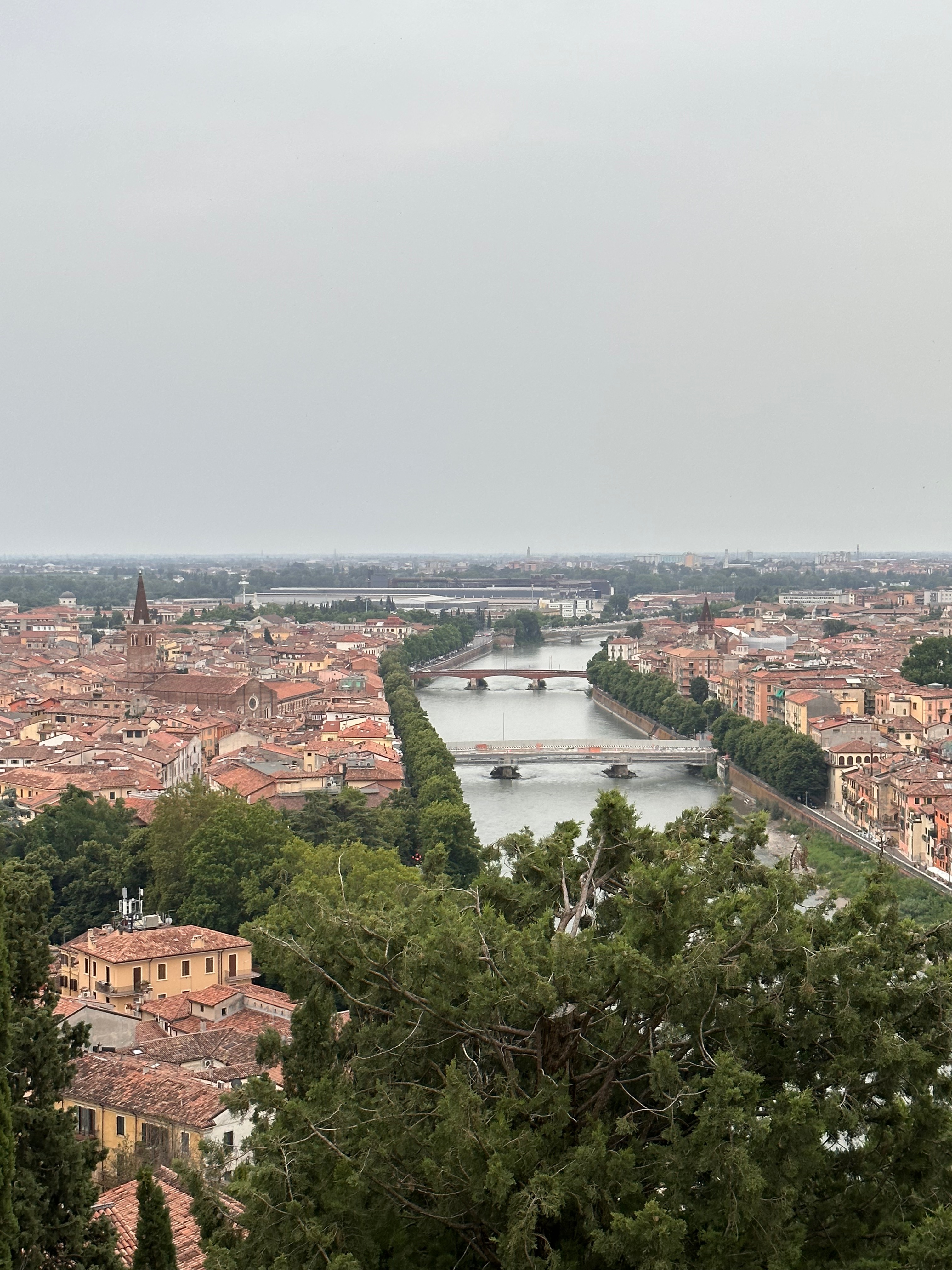 veneto wine tours from venice